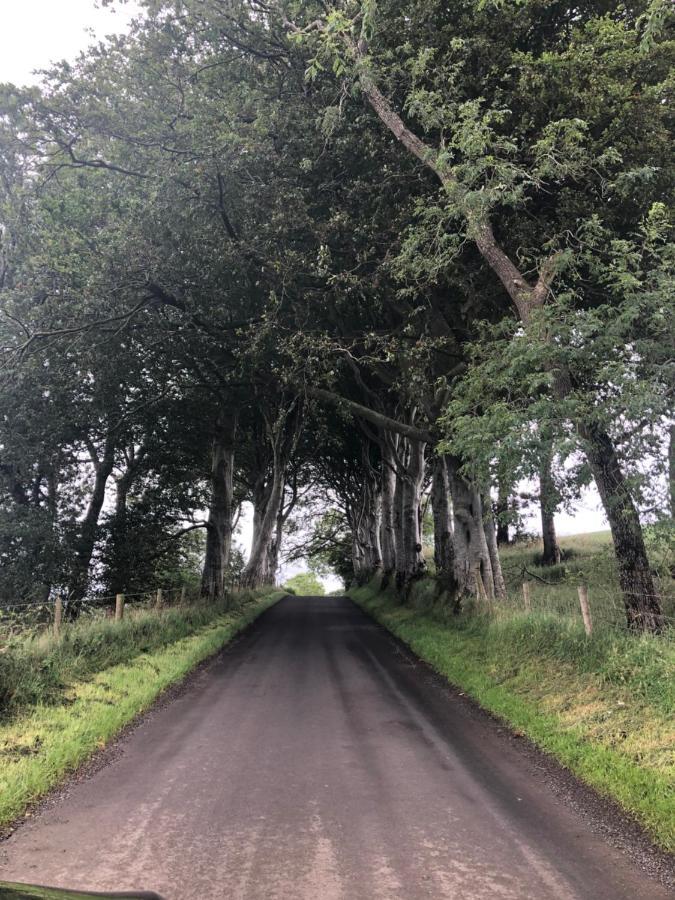 Stranocum Den @ The Dark Hedges 아파트 외부 사진